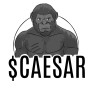 Project Logo