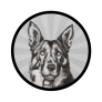 Project Logo