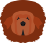 Project Logo