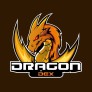Project Logo