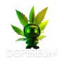 Project Logo