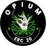 Project Logo