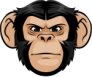 Project Logo