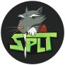 Project Logo
